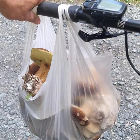 Czarny Kot Z Jacuzzi I Sauna Horská chata