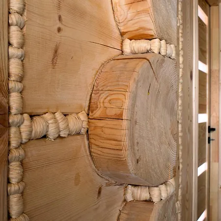 Czarny Kot Z Jacuzzi I Sauna *