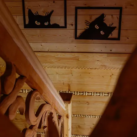 Czarny Kot Z Jacuzzi I Sauna Chalet *