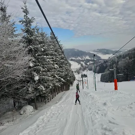 Horská chata Czarny Kot Z Jacuzzi I Sauna Janowice Wielkie