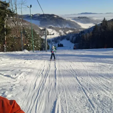 Czarny Kot Z Jacuzzi I Sauna Horská chata *