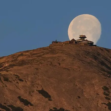 Czarny Kot Z Jacuzzi I Sauna *