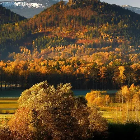 Czarny Kot Z Jacuzzi I Sauna *