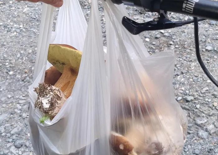 Czarny Kot Z Jacuzzi I Sauna Chalé