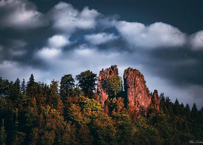 Czarny Kot Z Jacuzzi I Sauna Chalé Janowice Wielkie