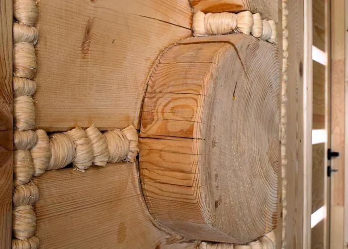 Czarny Kot Z Jacuzzi I Sauna *