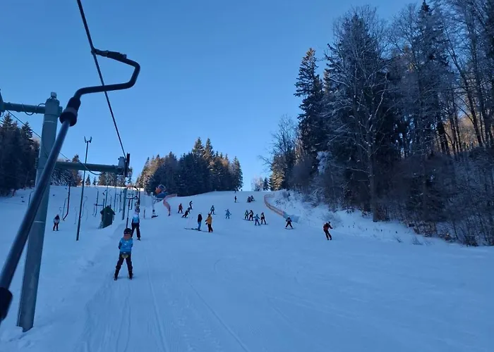 Czarny Kot Z Jacuzzi I Sauna Janowice Wielkie