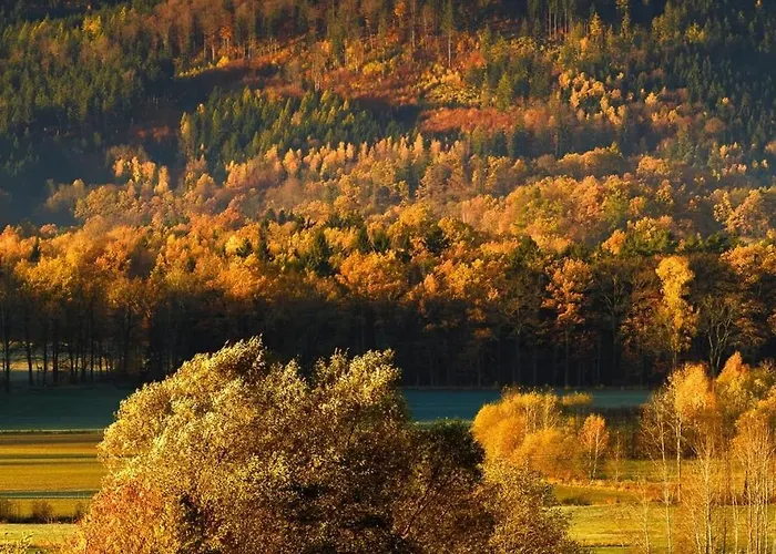 Czarny Kot Z Jacuzzi I Sauna *
